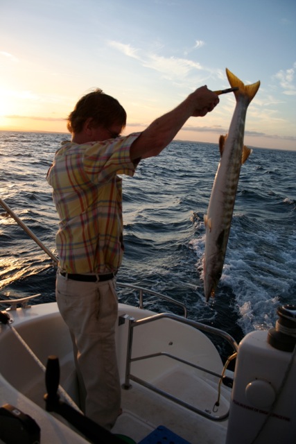 Catch Fish