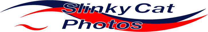 Click here to visit Slinkycat Gallery